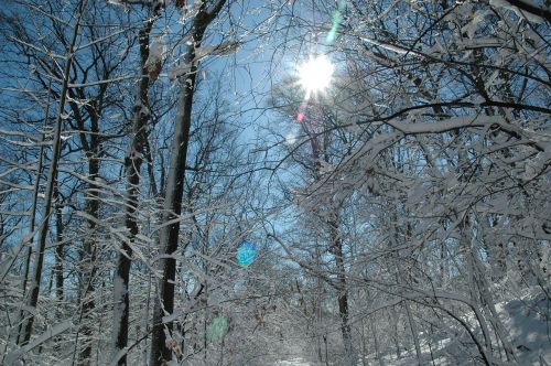 snow sun cold