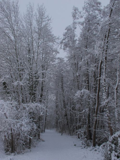 snow france free picture