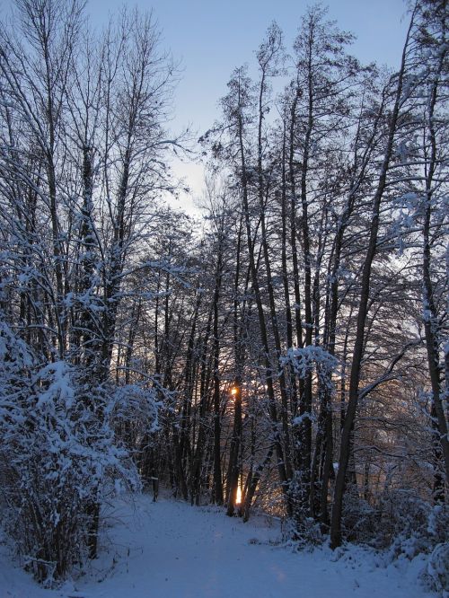 snow france free picture