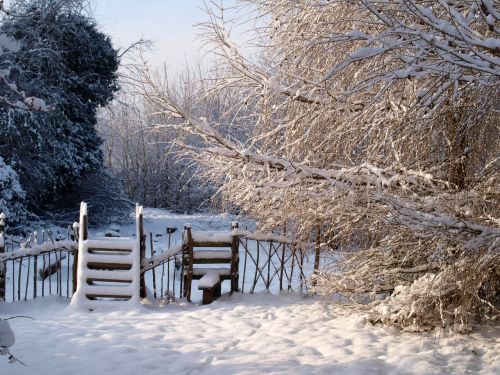 snow winter landscape