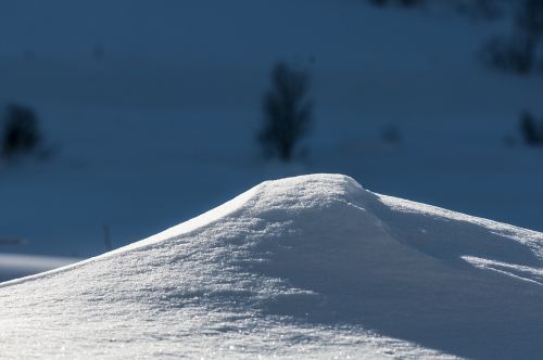 snow winter nature