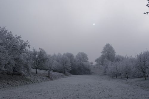 snow wintry winter