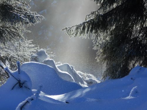 snow light nature