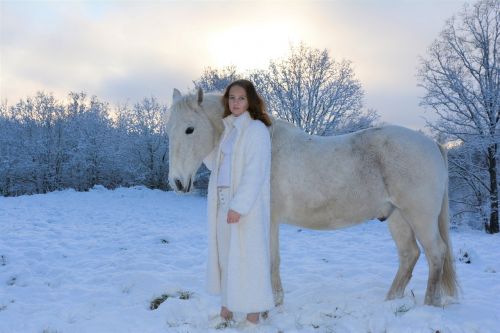 snow beautiful horse