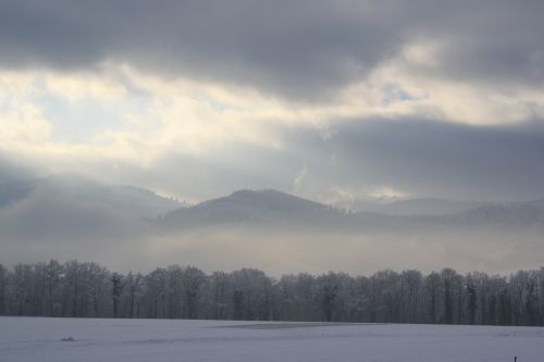 snow nature winter