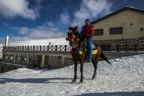 snow winter travel