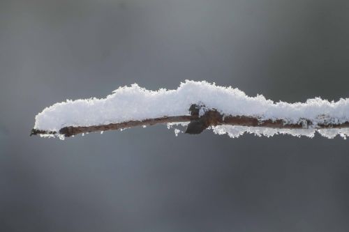 snow snow crystals frost