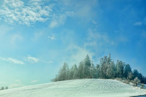 snow winter nature