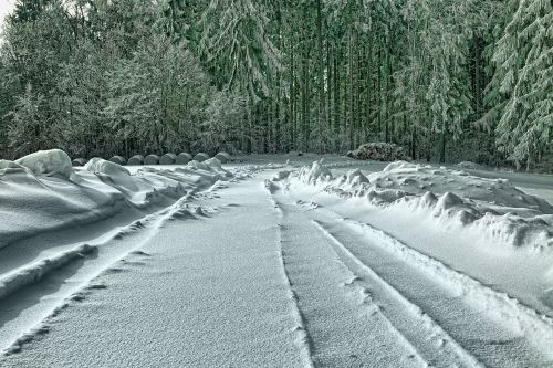 snow winter nature