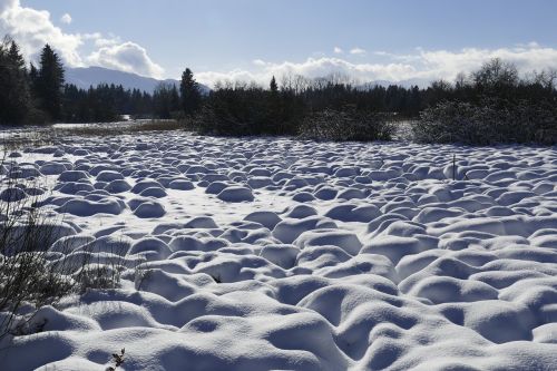 snow winter nature