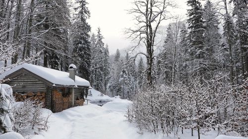 snow winter wood