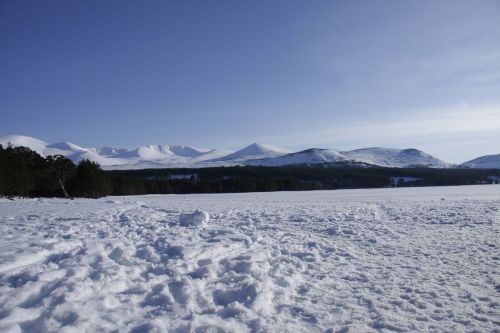 snow winter nature