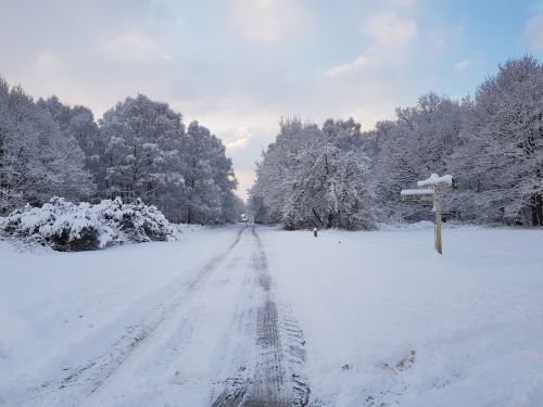 snow winter frozen