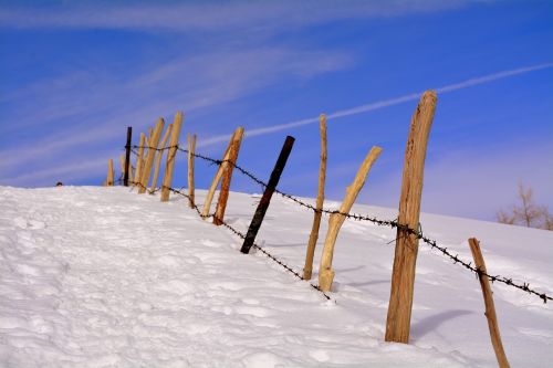 snow winter wood