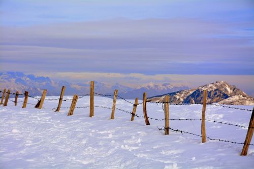 snow winter nature