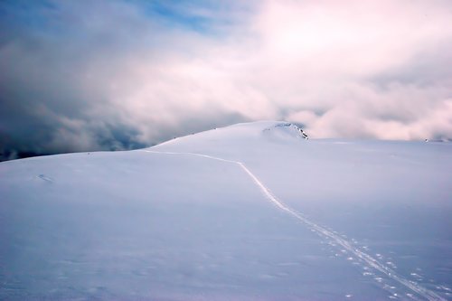 snow  winter  landscape