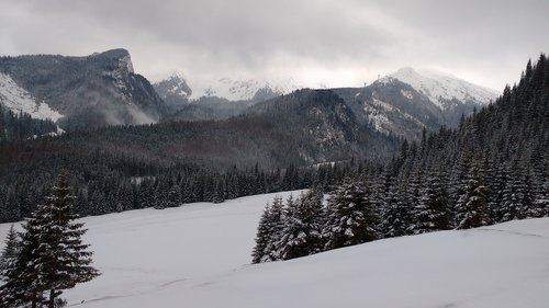 snow  winter  mountain