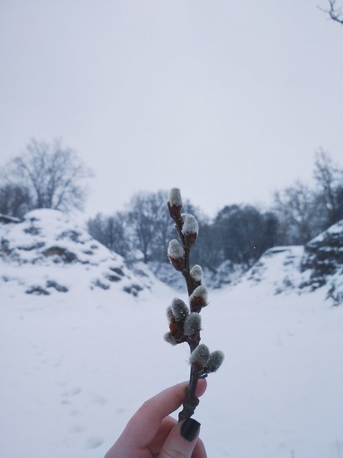 snow  winter  outdoors