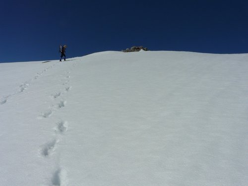 snow  footprints  winter