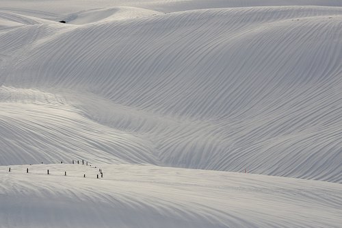 snow  winter  landscape