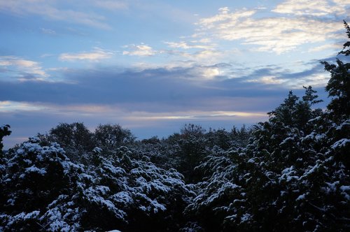 snow  dawn  scenic