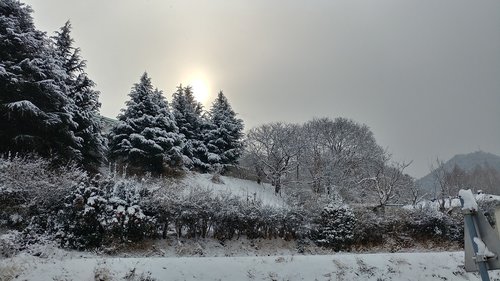 snow  sunrise  landscape