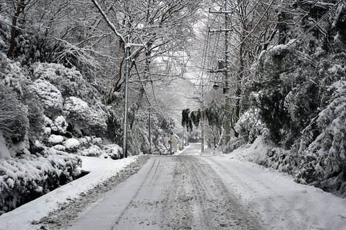 snow  natural  landscape