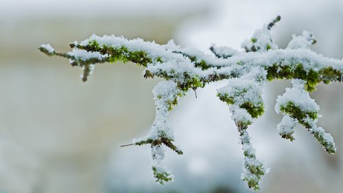 snow  snowfall  snowy