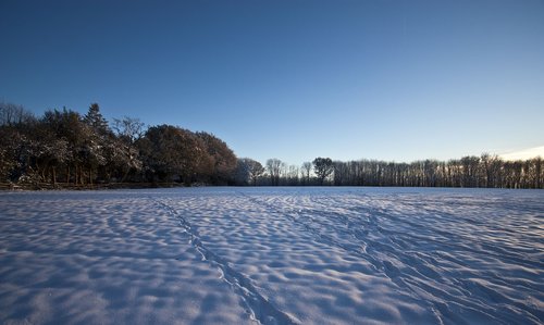 snow  field  winter