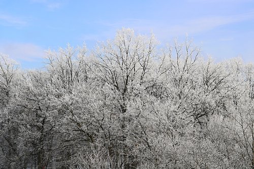 snow  landscape  frost