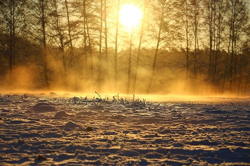 snow  sunrise  fog