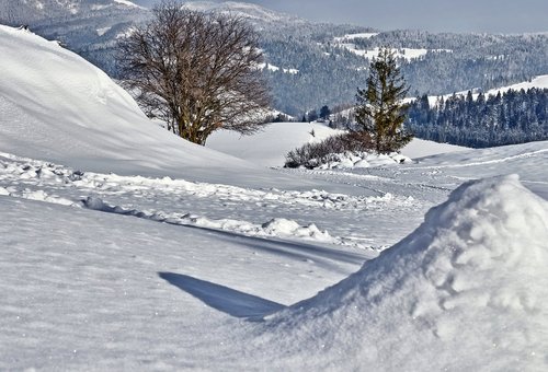 snow  trees  mountains