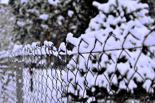snow  fence  winter