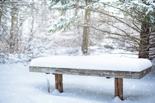 snow  bench  snowy