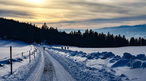 snow  path  walkers
