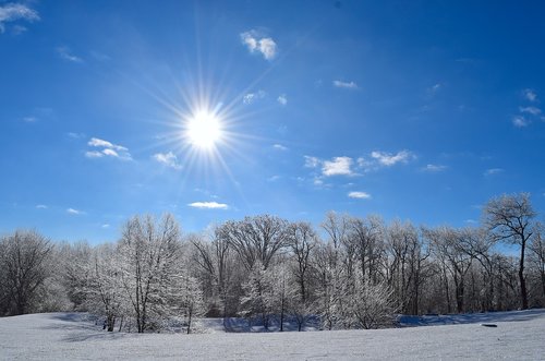 snow  winter  frost