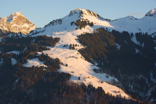 snow  alm  skiing