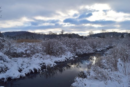 snow  winter  cold