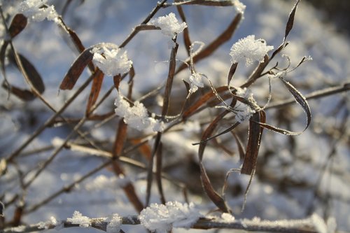 snow  ice  winter