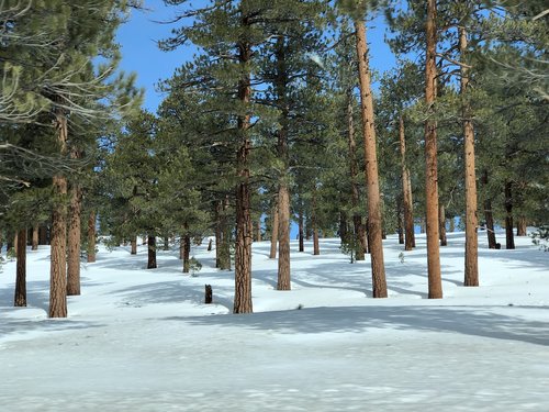 snow  california  mountain