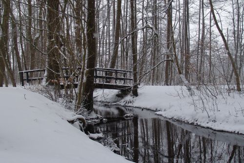 snow forest bridge