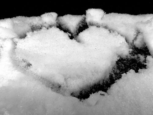 snow heart white