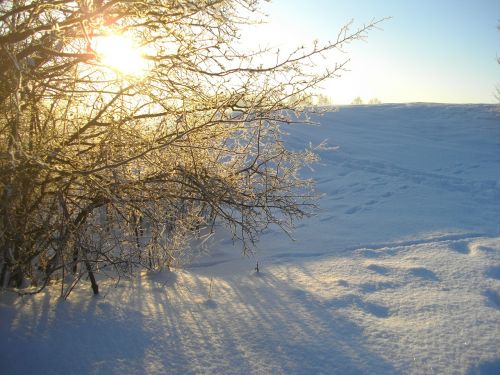 snow nature sun