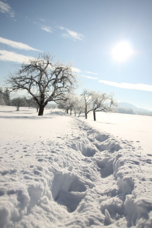 snow traces winter