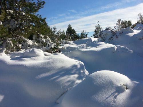 snow winter scenic