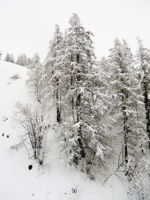 snow landscape winter