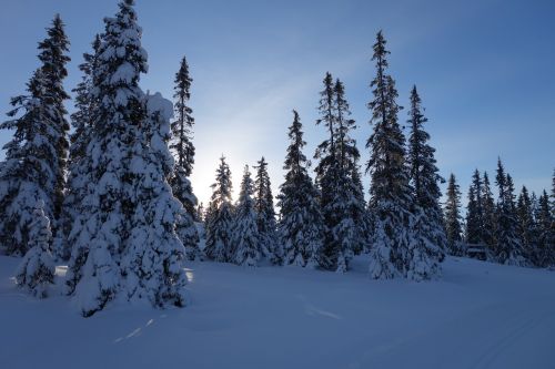 snow winter mountain