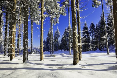 snow landscape snowy