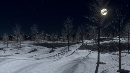 snow night moon
