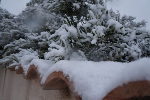 snow winter landscape white